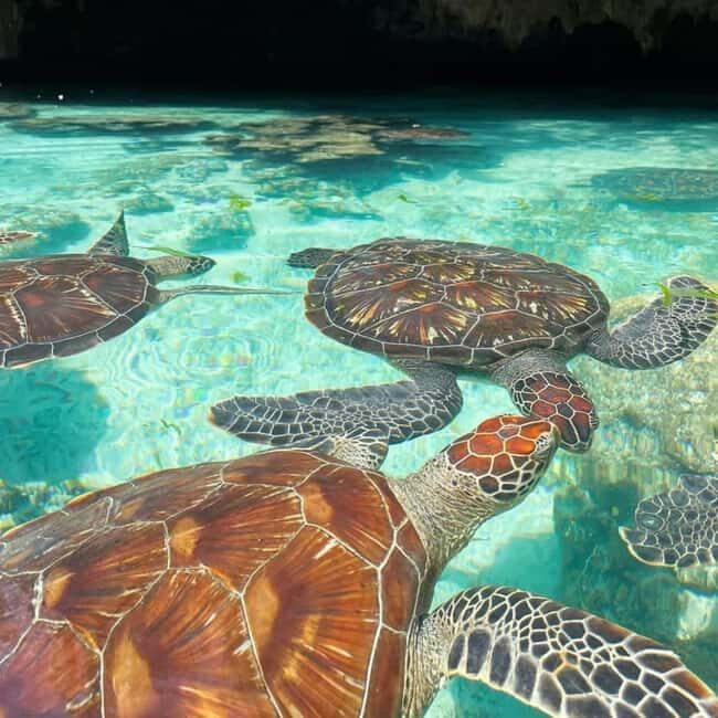 ZANZIBAR: Salaam Cave Swimming with Sea Turtles at Kizimkazi - Discovering Salaam Cave: The Heart of the Experience