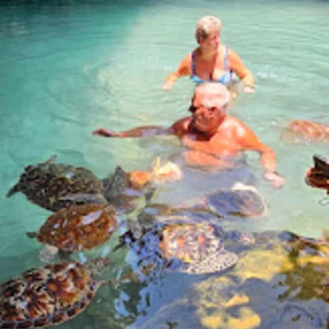 ZANZIBAR: Salaam Cave Swimming with Sea Turtles at Kizimkazi - Why This Tour Stands Out