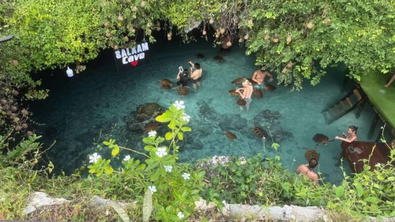 Zanzibar: Salaam Cave Swimming with Turtles Tour - An In-Depth Look at the Salaam Cave Turtle Tour