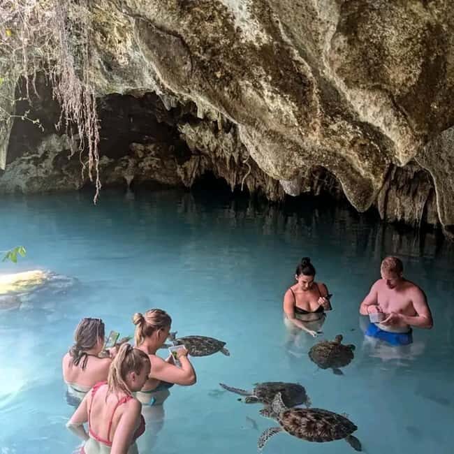 Zanzibar: Sea turtle Swim at Salam cave in Kizimkazi village - An Honest Look at Salaam Cave: A Unique Wildlife Experience