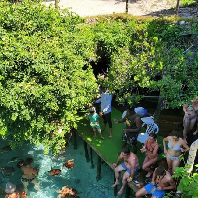 ZANZIBAR: Sea Turtles Salaam cave & Jozani Forest | half day - The Experience You Can Expect  