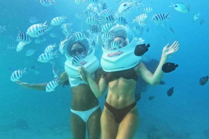 Zanzibar: Sea Walk Adventure and Sea Turtle Sanctuary Tour - Key Points