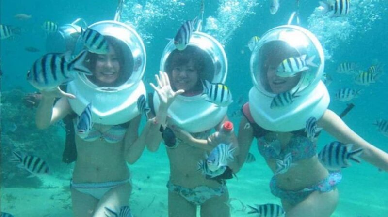 Zanzibar: Sea Walk Adventure and Sea Turtle Sanctuary Tour - The Details of the Tour Experience