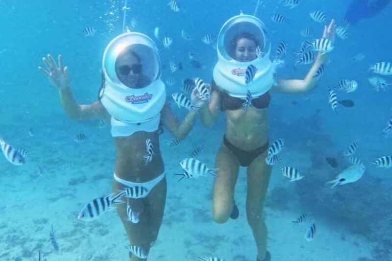 Zanzibar: Sea Walk Adventure and Sea Turtle Sanctuary Tour - What Travelers Say About the Tour