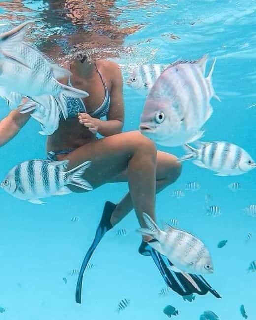 Zanzibar: Snorkeling at blue lagoon & Star fish tour - Key Points