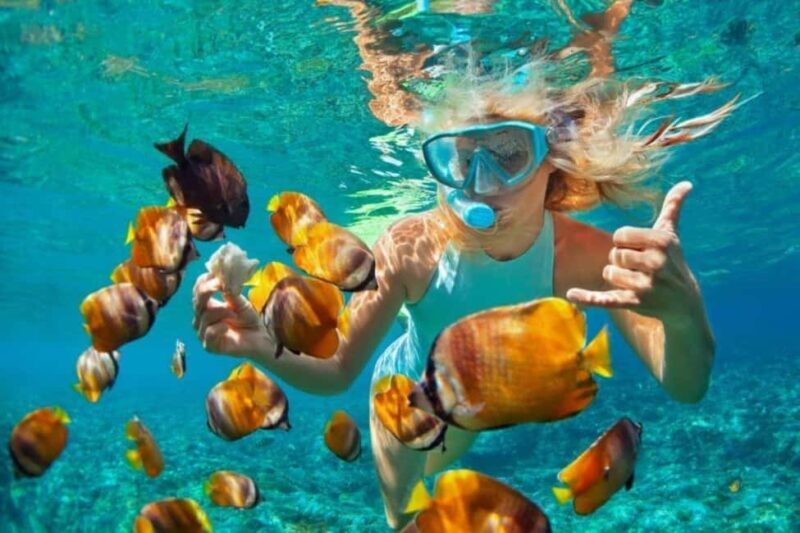 Zanzibar: Snorkeling at blue lagoon & Star fish tour - A Closer Look at the Zanzibar Snorkeling Experience