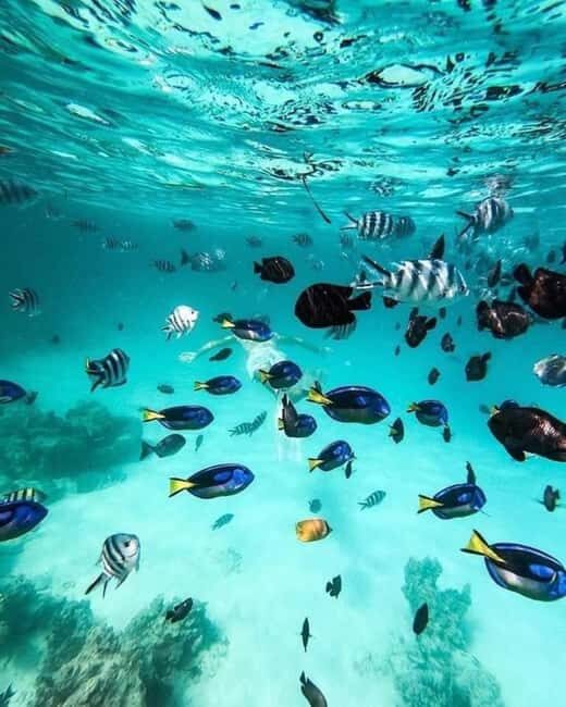 Zanzibar: Snorkeling at blue lagoon & Star fish tour - Frequently Asked Questions