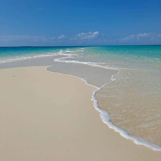 Zanzibar snorkeling +sandbank picnic Pungume island - The Sum Up: Is This Tour Right for You?