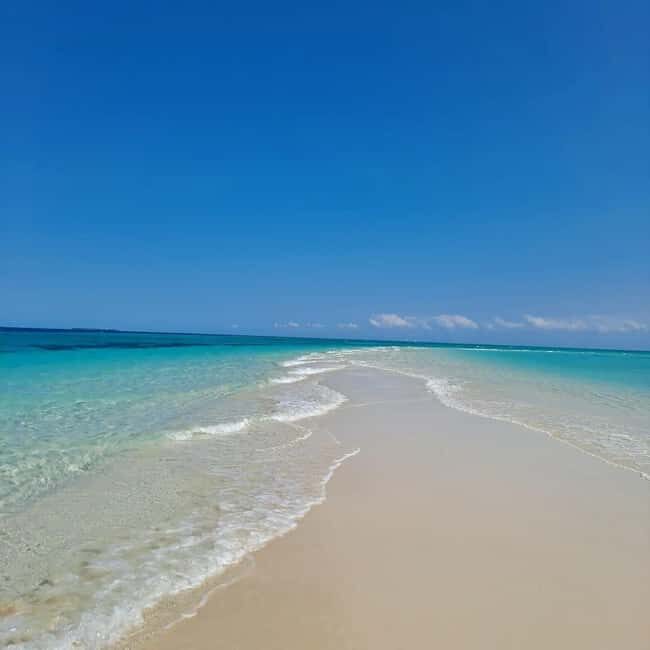Zanzibar snorkeling +sandbank picnic Pungume island - FAQ