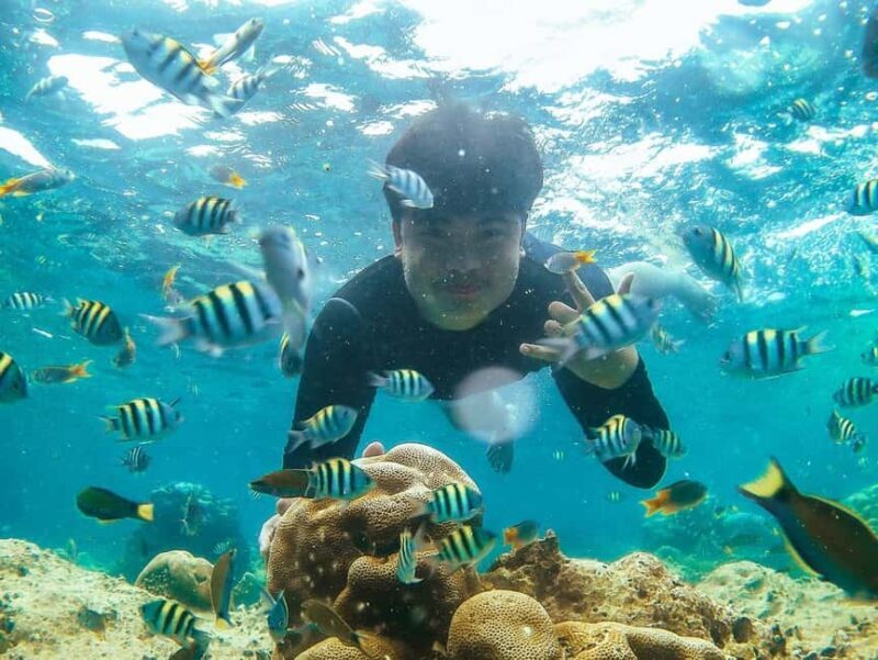Zanzibar snorkeling +starfish and flowers garden corals - Who Will Love This Experience?