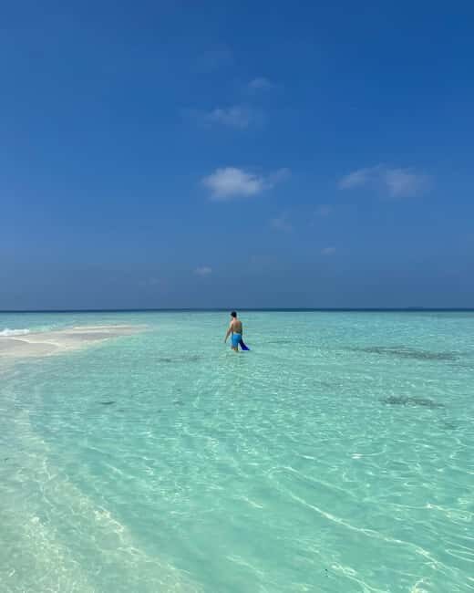 Zanzibar snorkeling +starfish and flowers garden corals - Practical Details: Transportation, Timing, and Group Size