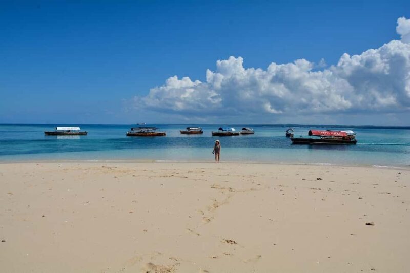 Zanzibar - Spice Farm and Nakupenda Island Tour with Lunch - Who Would Love This Tour?