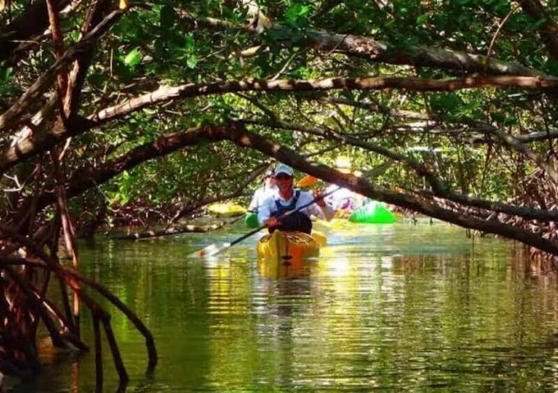 Zanzibar: Spice Farm, Butterfly Sanctuary, and Mangrove Tour - Key Points