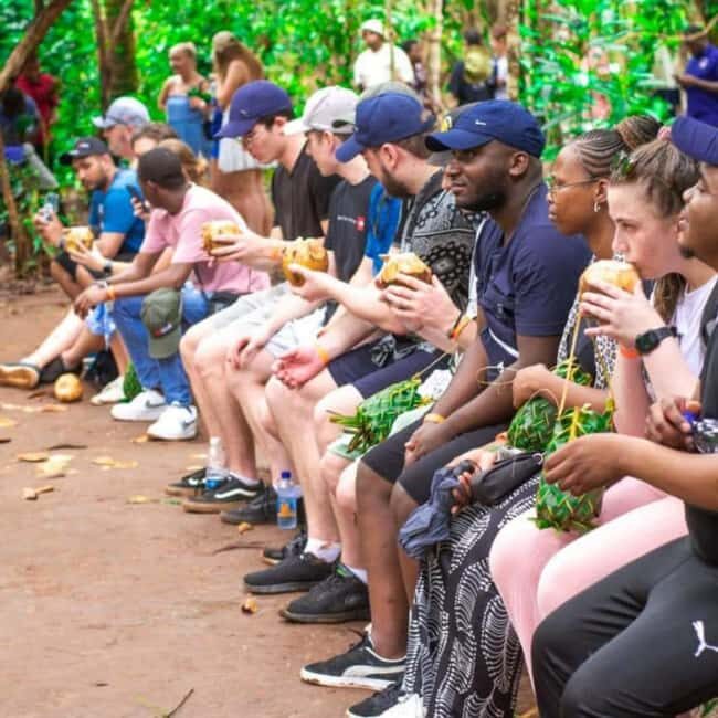 Zanzibar: Spice Farm, Jozani Forest and Blue Lagoon Day Tour - Final Thoughts