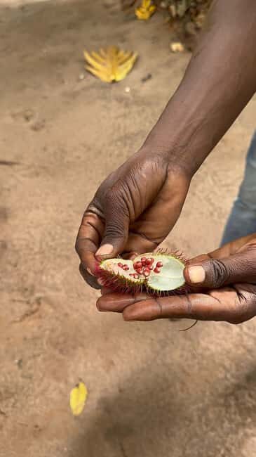 Zanzibar: Spice farm, Prison Island & Nakupenda with Lunch - Practical Details and Tips