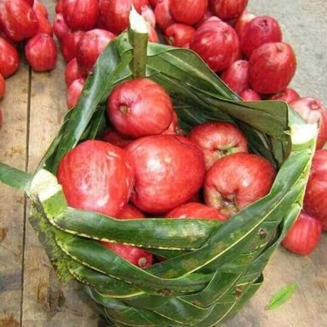 Zanzibar: Spice farm Swahili Clothing and Cooking class - FAQs