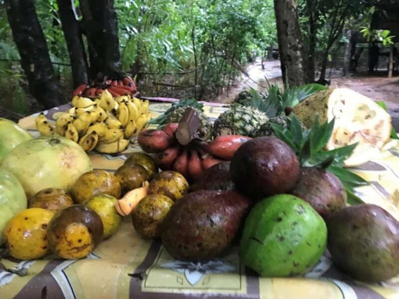 Zanzibar: Spice Farm Tour and Prison Island with Boat Ride - Key Points
