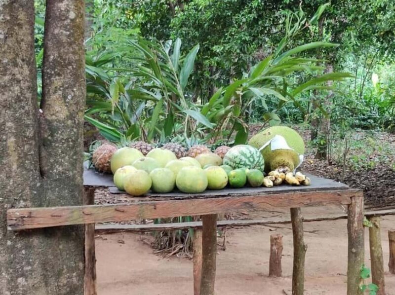 Zanzibar: Spice Farm Tour and Prison Island with Boat Ride - The Journey to Prison Island