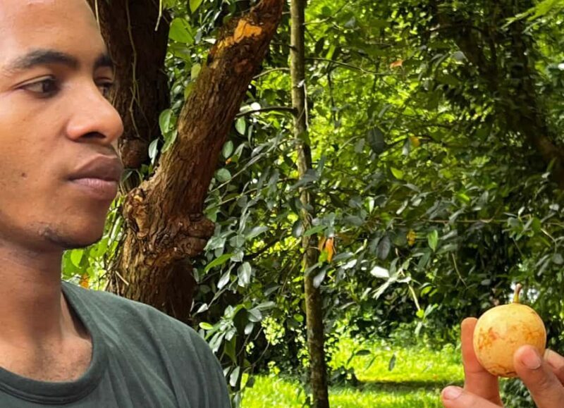 ZANZIBAR: SPICE FARM TOUR TASTING & LEARNING - Guided Tour: Knowledgeable and Approachable Guides
