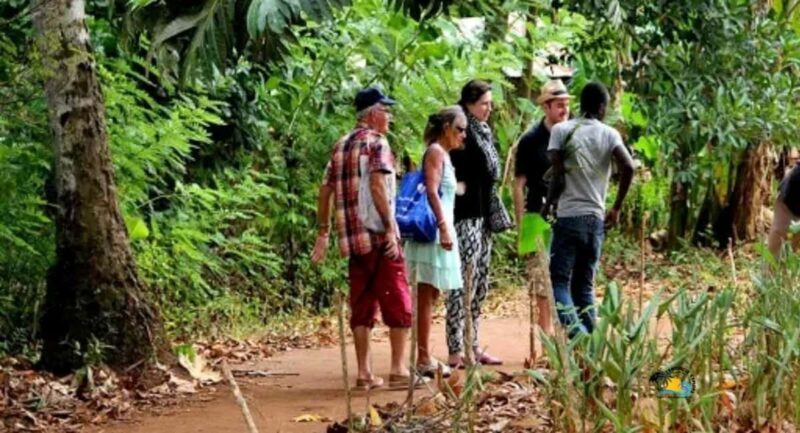 Zanzibar: Spice Farm Tour with Cooking lesson - Authenticity and Traveler Feedback