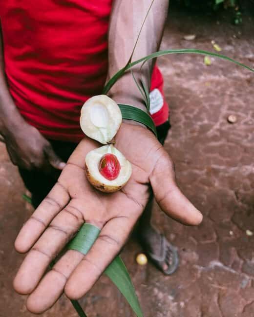 Zanzibar: Spice Farm Tour with Lunch - A Detailed Look at the Zanzibar Spice Farm Tour with Lunch