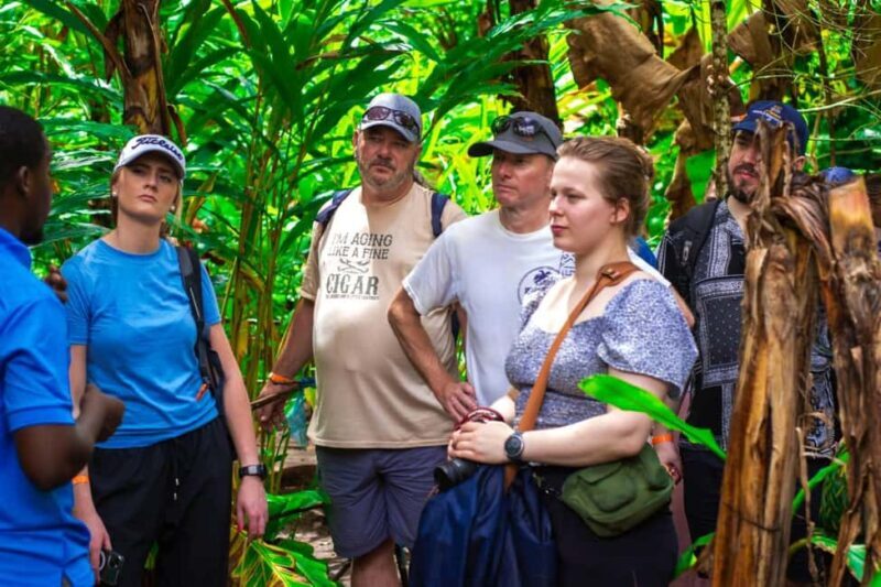 Zanzibar: Spice Farm Tour with Lunch & Tropical Fruits - Key Points