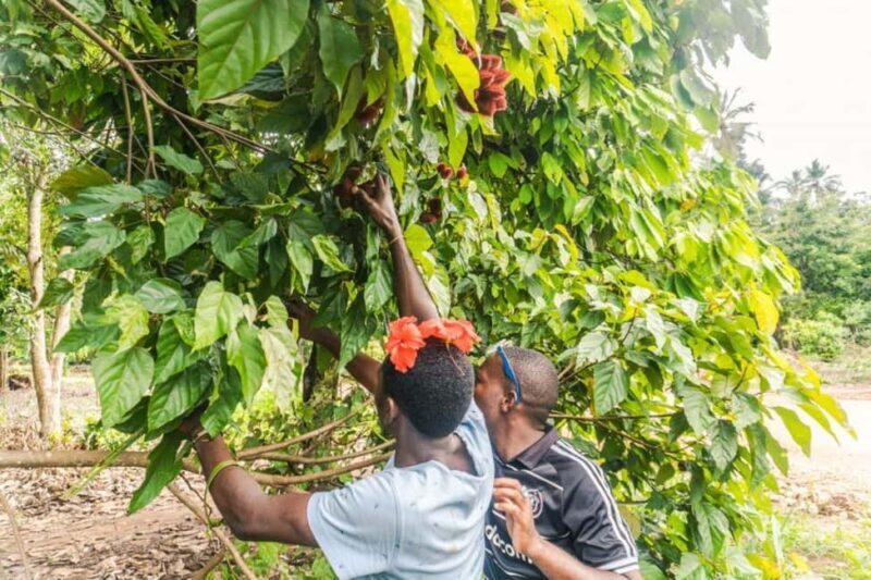 Zanzibar: Spice farm tour with Zanzibar fruits tasting - Key Points