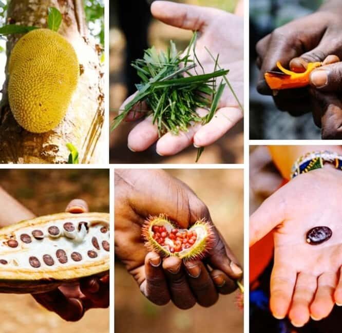 Zanzibar: Spice Farm with Local Guide and Tasting Delights - Exploring Zanzibar’s Spice Heritage
