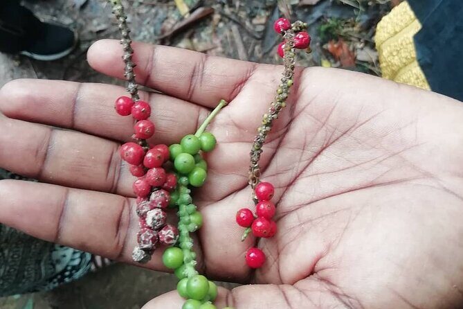 Zanzibar Spice Tour - FAQ