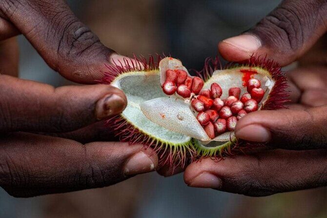 Zanzibar Spice tour - Is This Tour Right for You?