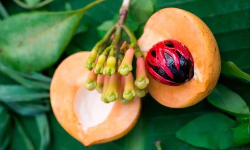 Zanzibar: Stone Town and Spice Plantation Walking Tour - Practical Considerations and Value