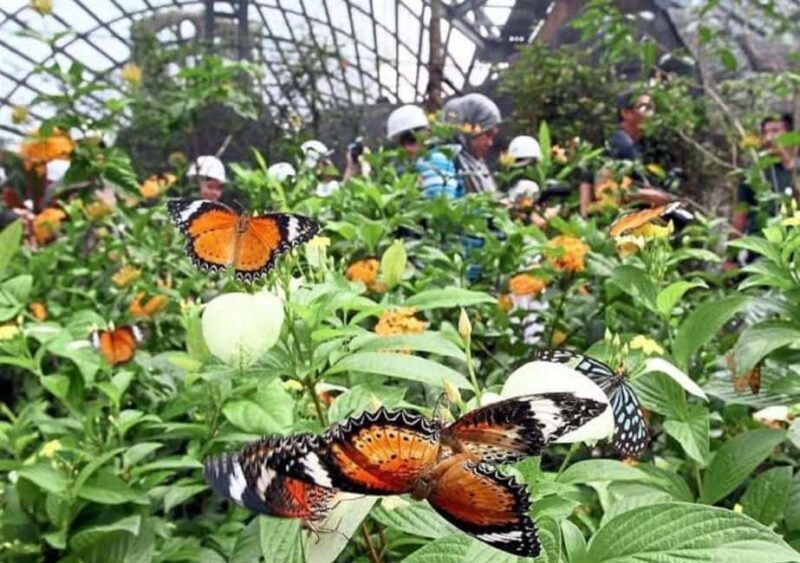 Zanzibar: Stone town, Butterfly center & Sea tour turtle - Exploring Stone Town: A Historic Treasure Chest