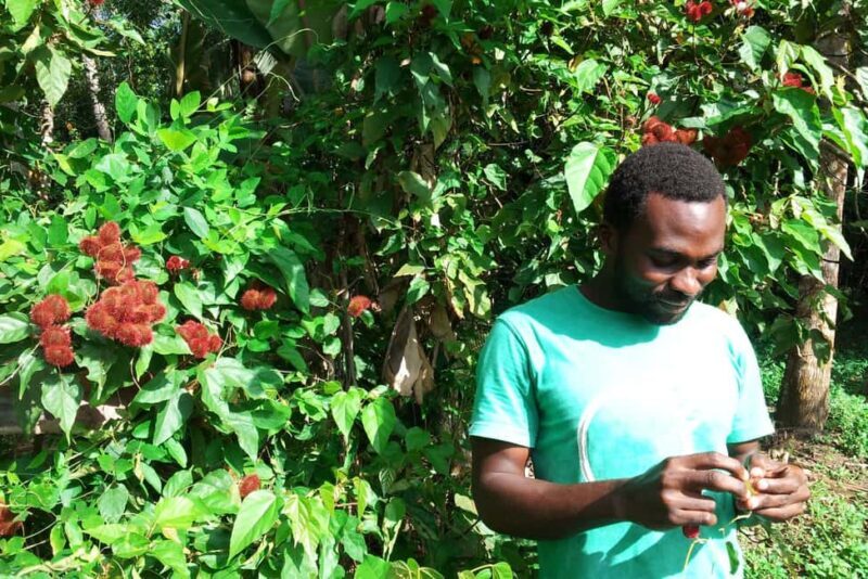Zanzibar: Stone Town City Tour and Spice Farm with Lunch - Navigating the Itinerary: What to Expect