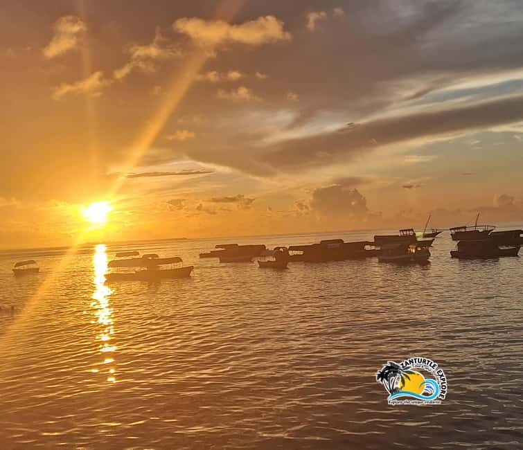 Zanzibar: Stone Town Evening Food Market Tour - FAQ