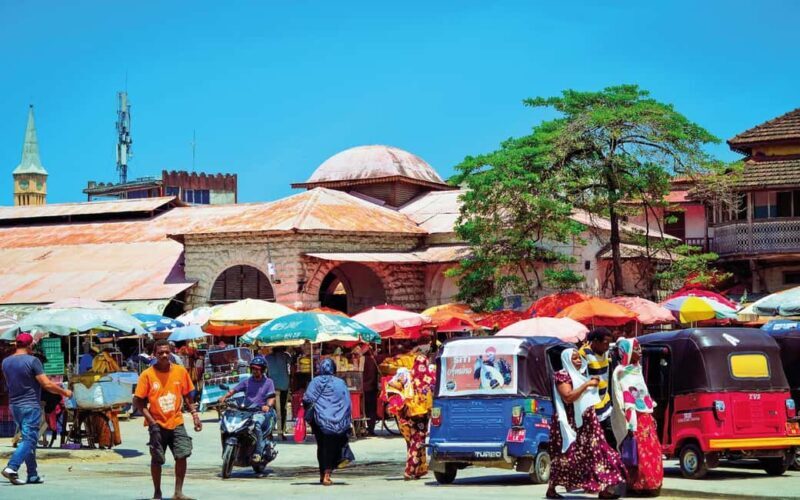 Zanzibar: Stone Town Guided Walking Tour - Introduction and Overall Impression
