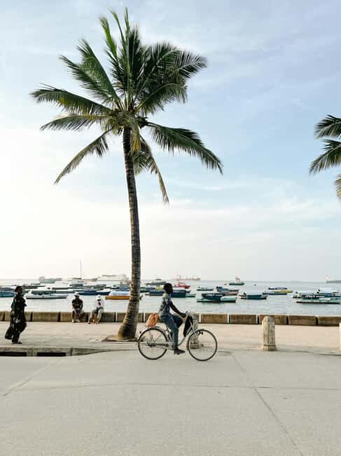 Zanzibar: Stone Town Heritage & Slave Market Tour - Key Points