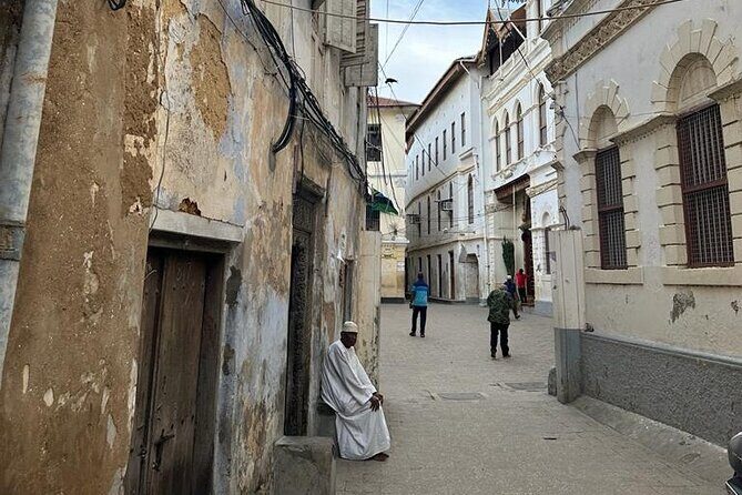 Zanzibar Stone Town Highlight walking tour - Key Points
