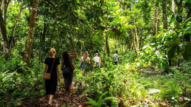 Zanzibar: Stone Town, History and Jozani Forest Guided Tour - Key Points