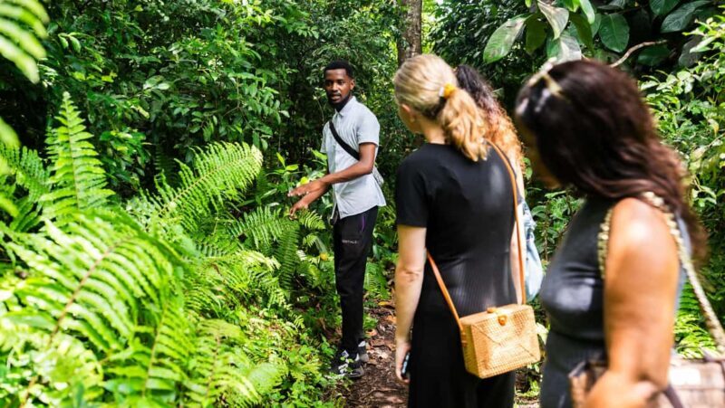 Zanzibar: Stone Town, History and Jozani Forest Guided Tour - Authentic Experiences and Special Insights