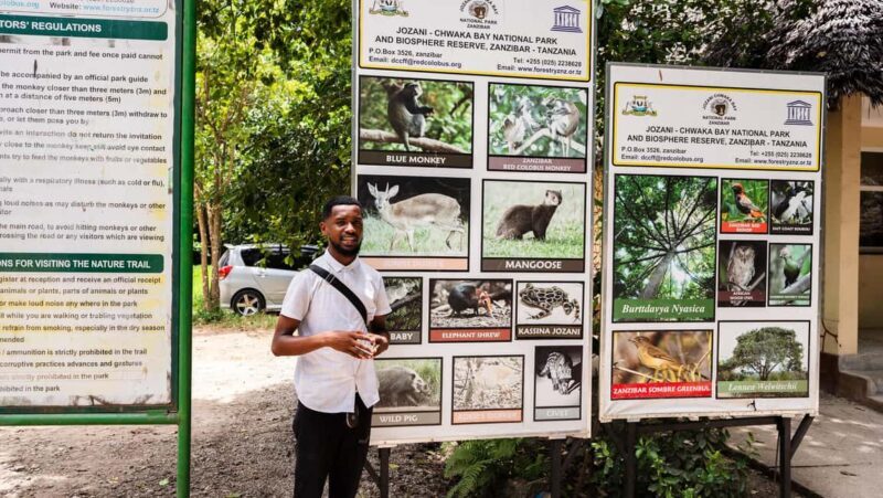 Zanzibar: Stone Town, History and Jozani Forest Guided Tour - Who Is This Tour Best For?