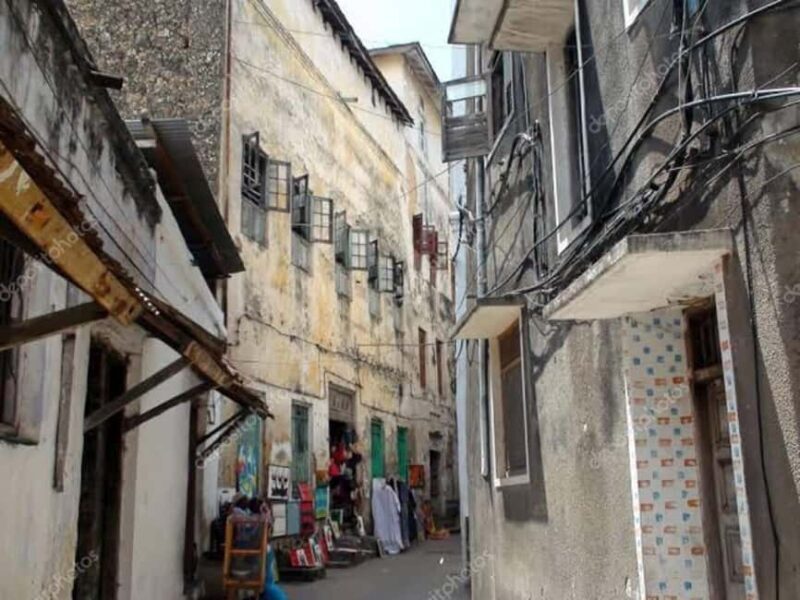 Zanzibar: Stone town, Jozani forest and sweaming with turtle - Practical Details and Overall Value