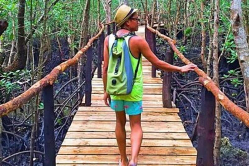 ZANZIBAR: Stone Town, Prison Island, and Jozani Forest Tour - Who Is This Tour Best For?