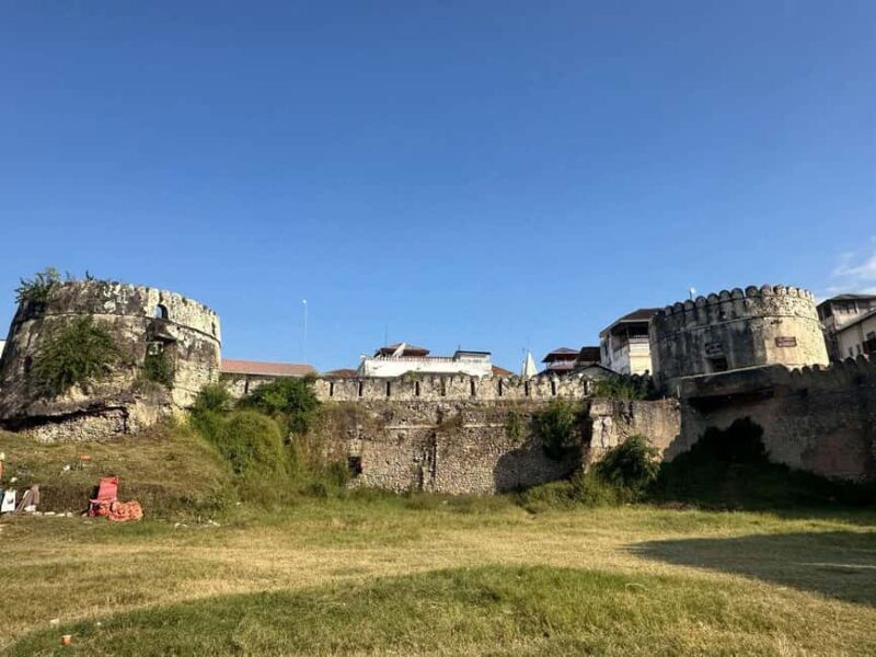 Zanzibar: Stone Town, Prison Island, and Jozani Forest Tour - Key Points