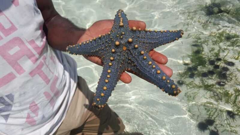 Zanzibar: Stone Town & Prison Island, Nakupenda - A Short Boat Ride to Prison Island