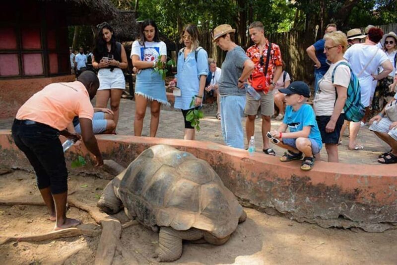 Zanzibar: Stone Town & Prison Island Tour with Tortoises - Final Thoughts: Is This Tour Right for You?