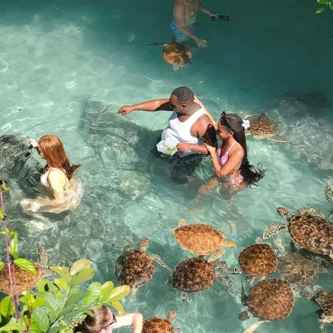 Zanzibar: Stone Town, Salam Cave, and The rock tourTour - Key Points