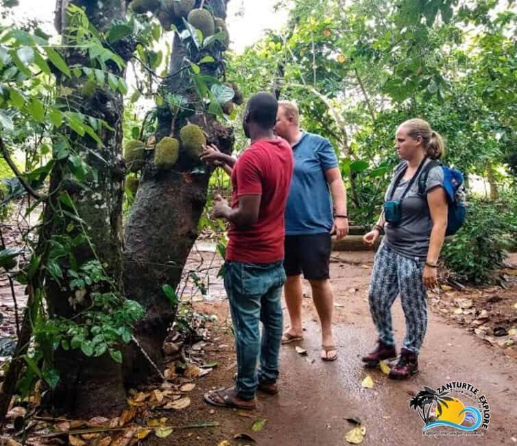 Zanzibar: Stone Town & Spice Farm Tour with Lunch | Half day - Authenticity and Reviews