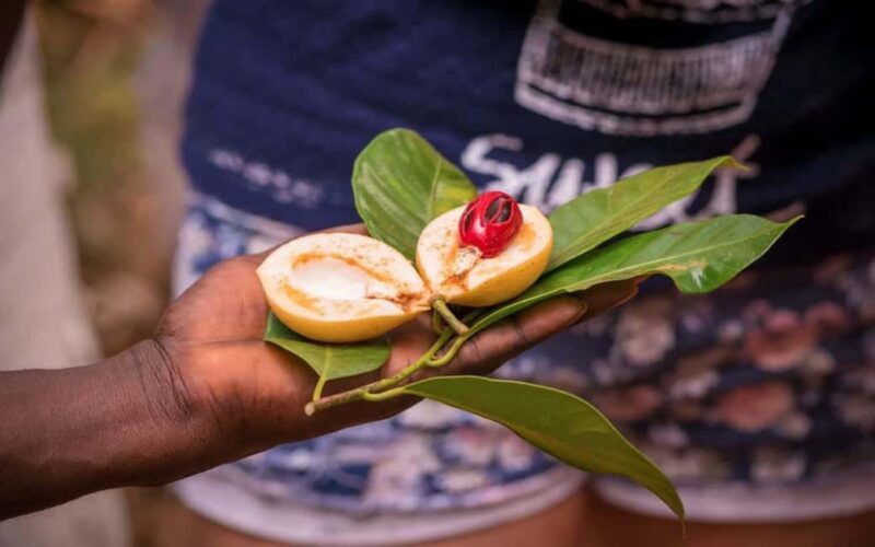 Zanzibar: Stone Town Tour, and Spice Tour Visit - An In-Depth Look at the Tour