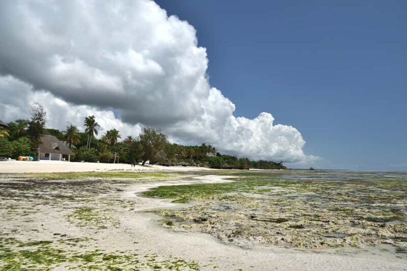 Zanzibar - Stone town tour & Nakupenda Beach tour - Key Points