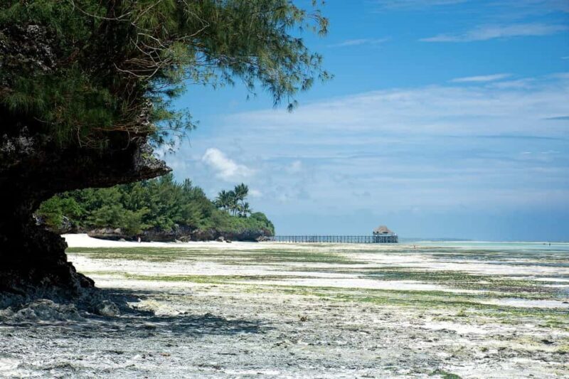 Zanzibar - Stone town tour & Nakupenda Beach tour - Final Thoughts